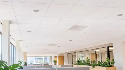 Bright modern open office ceiling with discreet sound-masking speakers above quiet workstations