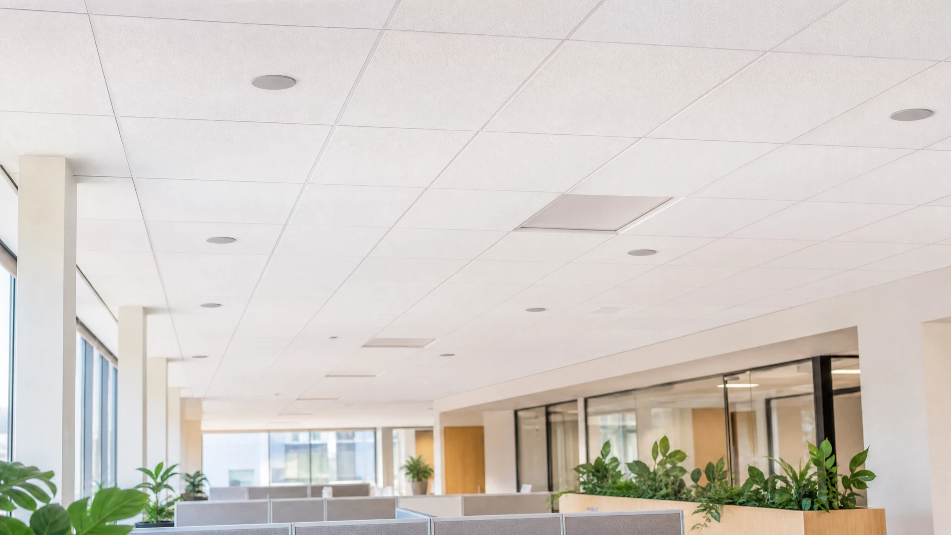 Bright modern open office ceiling with discreet sound-masking speakers above quiet workstations